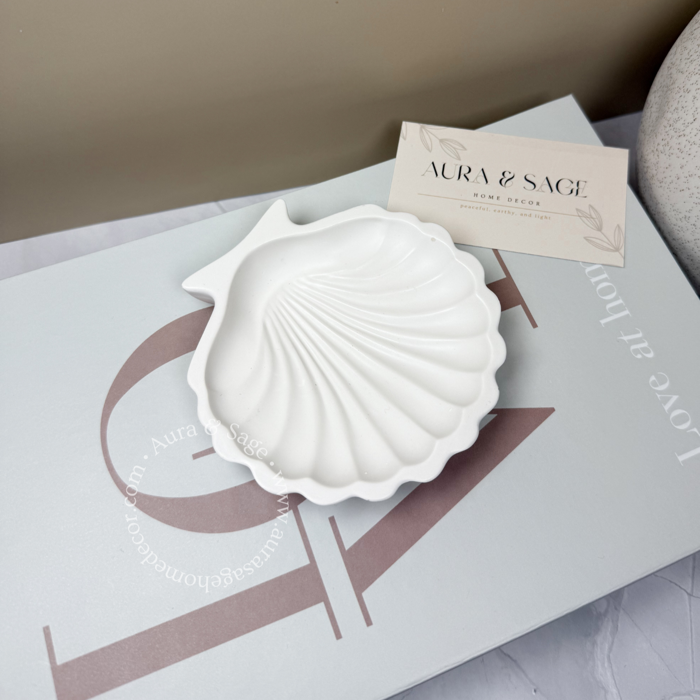 Round Shell Jewelry Jar | Trinket Bowl