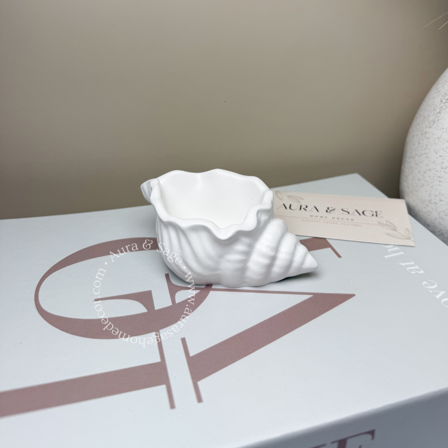 Small Shell Jewelry Jar | Trinket Bowl