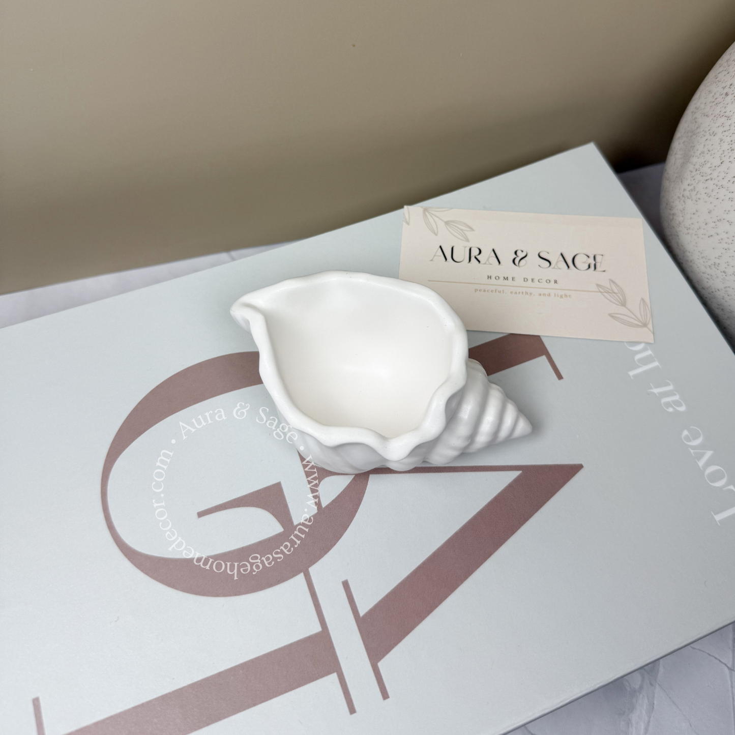 Small Shell Decorative Jar | Jewelry & Trinket Bowl