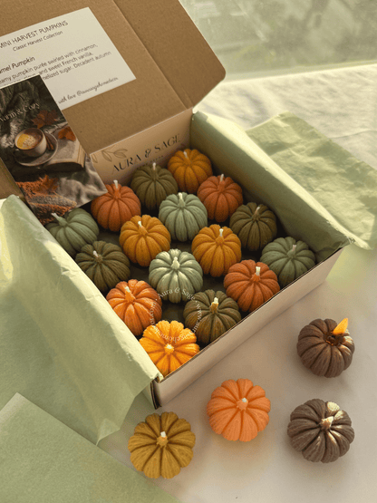 Mini Harvest Pumpkins - Candles Set of 16, Thanksgiving Favors, Fall Table Decor, Autumn Gifts