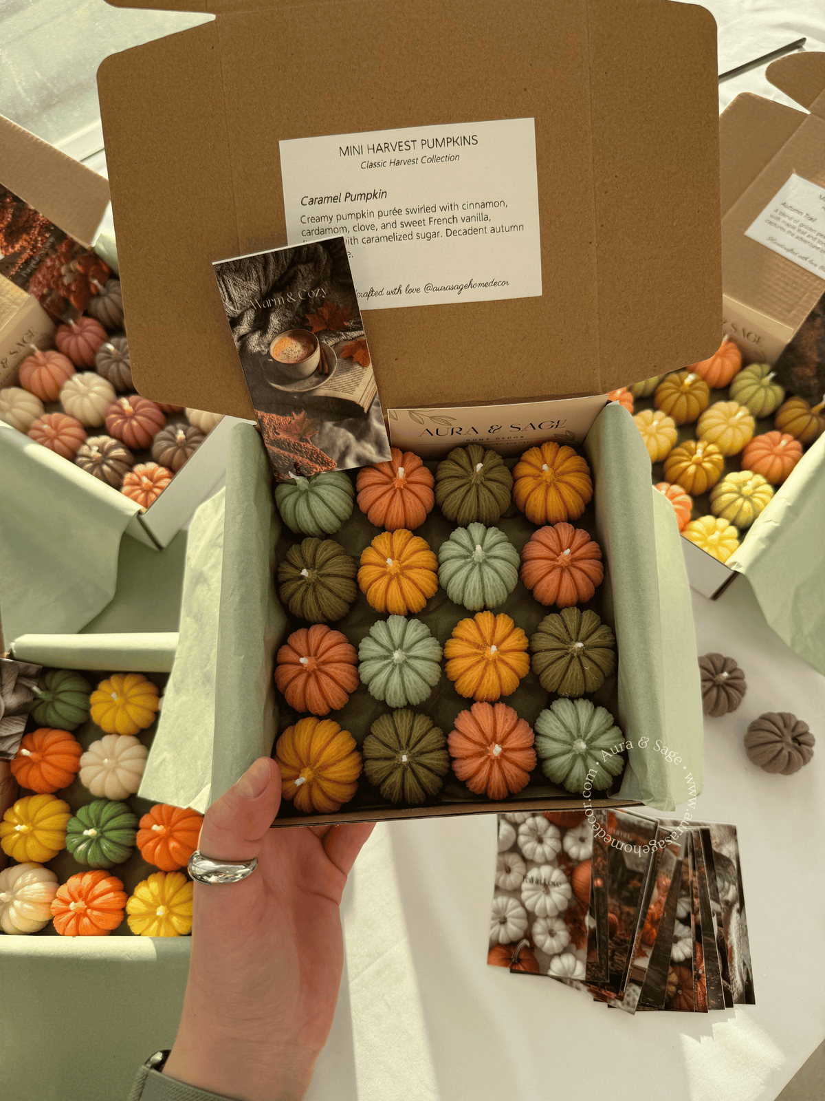 Mini Harvest Pumpkins - Candles Set of 16, Thanksgiving Favors, Fall Table Decor, Autumn Gifts