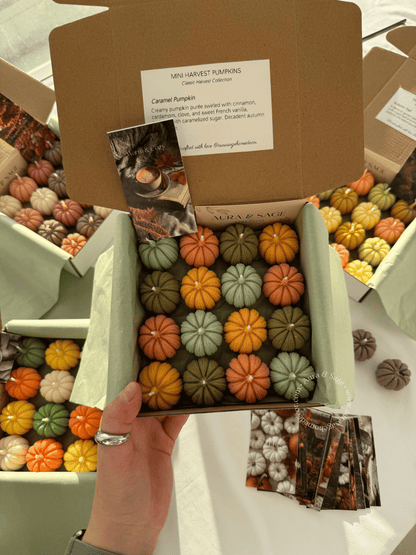 Mini Harvest Pumpkins - Candles Set of 16, Thanksgiving Favors, Fall Table Decor, Autumn Gifts