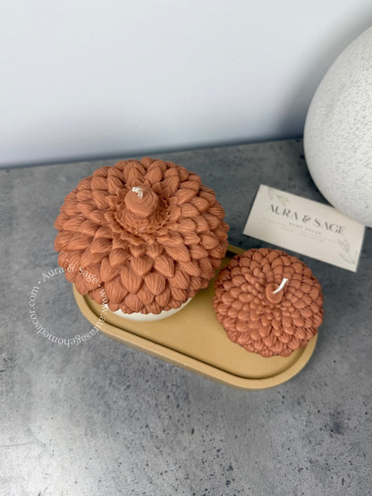 Acorn Soy Candles Set of 2