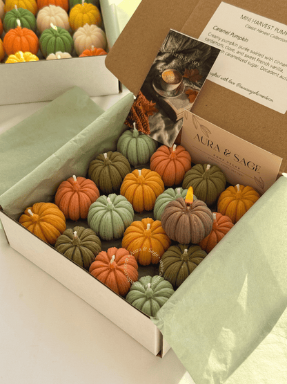 Mini Harvest Pumpkins - Candles Set of 16, Thanksgiving Favors, Fall Table Decor, Autumn Gifts