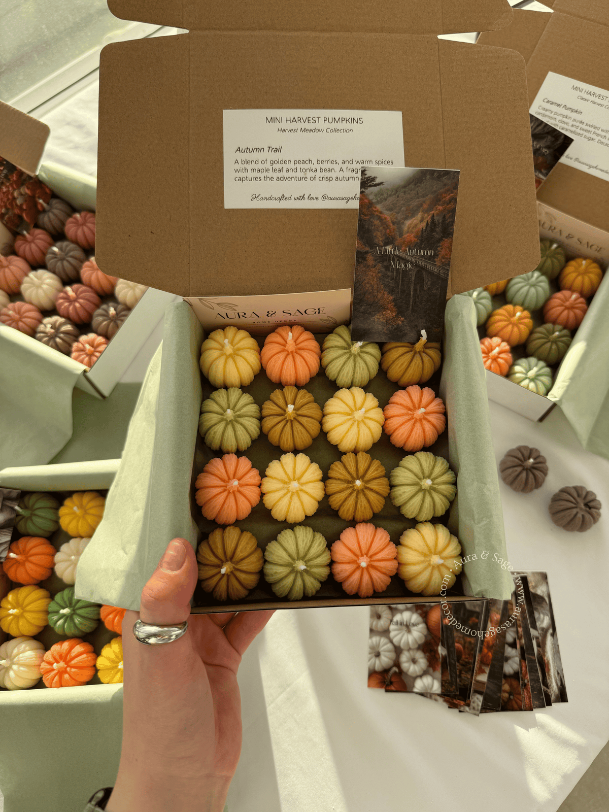 Mini Harvest Pumpkins - Candles Set of 16, Thanksgiving Favors, Fall Table Decor, Autumn Gifts