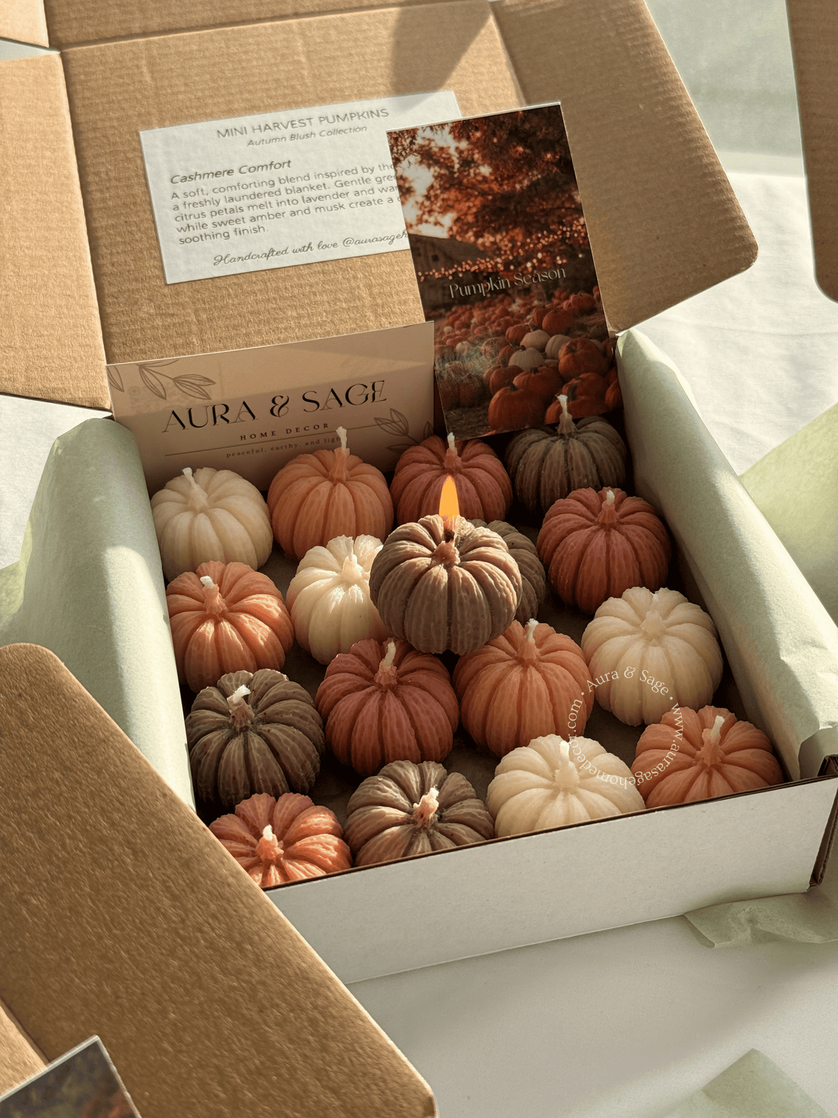 Mini Harvest Pumpkins - Candles Set of 16, Thanksgiving Favors, Fall Table Decor, Autumn Gifts