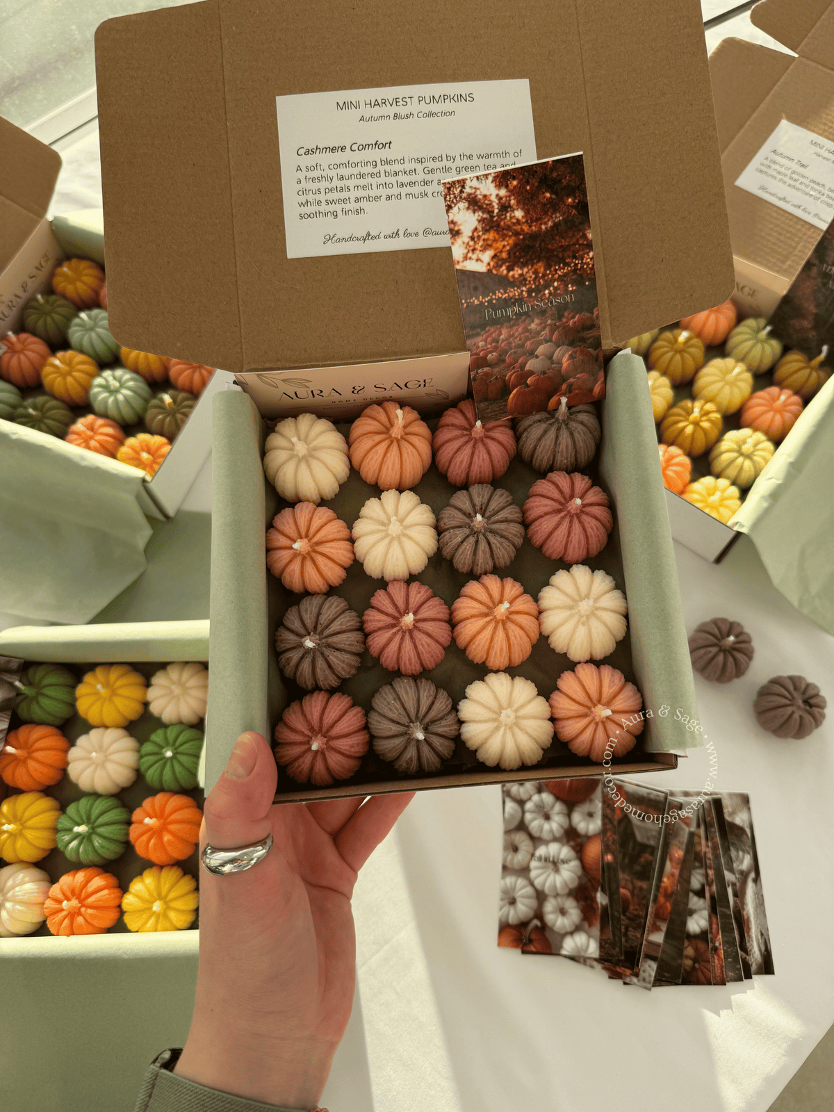 Mini Harvest Pumpkins - Candles Set of 16, Thanksgiving Favors, Fall Table Decor, Autumn Gifts