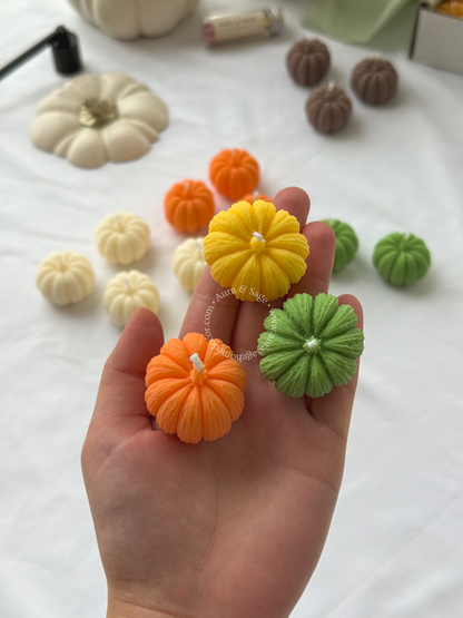Mini Harvest Pumpkins - Candles Set of 16, Thanksgiving Favors, Fall Table Decor, Autumn Gifts