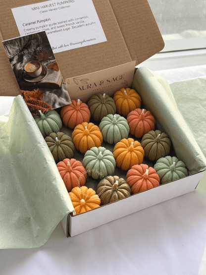 Mini Harvest Pumpkins - Candles Set of 16, Thanksgiving Favors, Fall Table Decor, Autumn Gifts