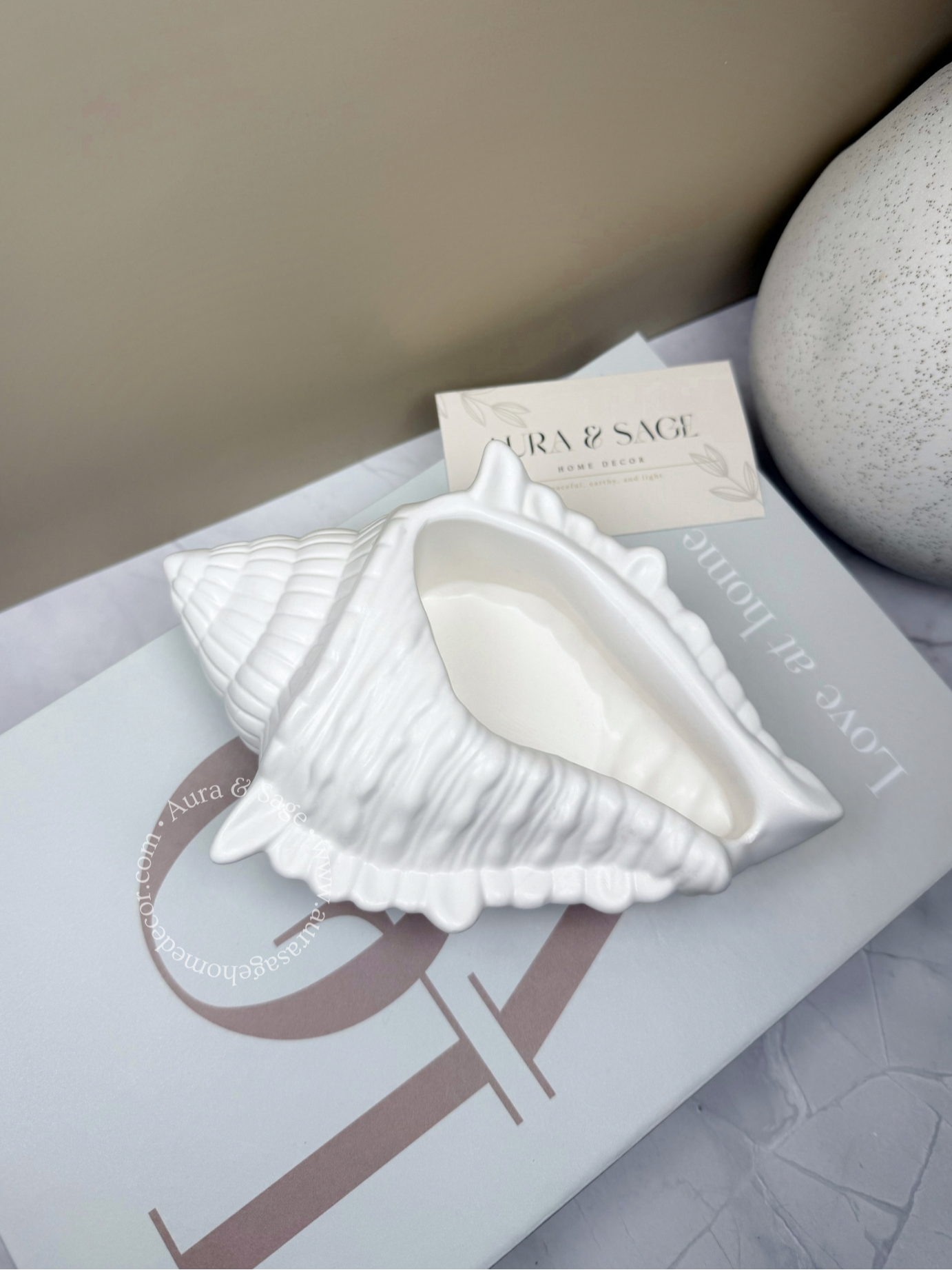 White shell on a magazine with a blurred background