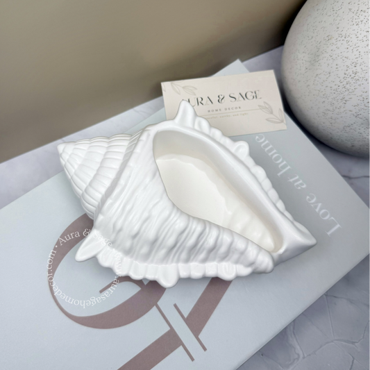 Large Decorative Shell | Jewelry Jar | Trinket Bowl