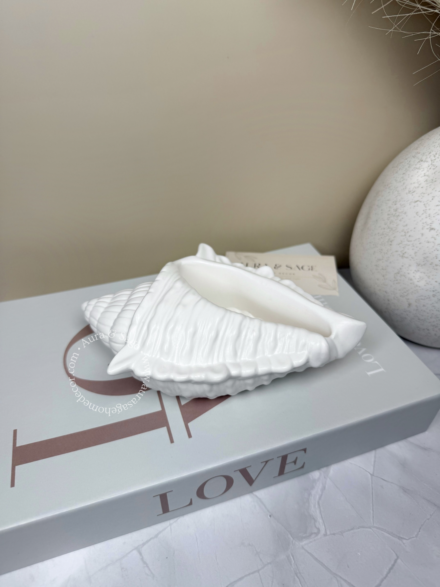 White large shell decor.