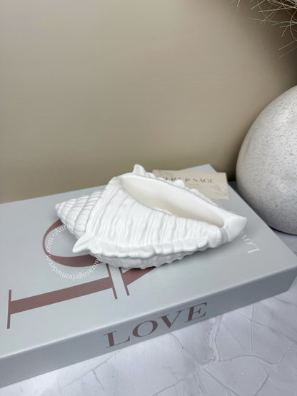 White large shell decor.